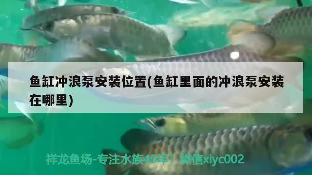 魚缸沖浪泵安裝位置(魚缸里面的沖浪泵安裝在哪里)