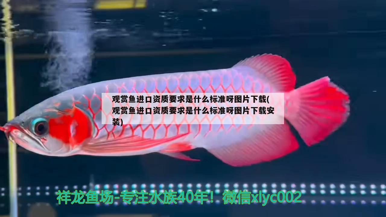 湖北襄樊七葉一枝花哪里有賣，樊城哪里有賣小金魚