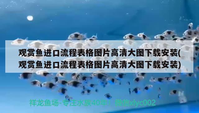 紅龍魚的挑選方法和技巧，如何挑選紅龍魚？