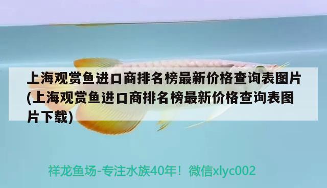 上海觀賞魚(yú)進(jìn)口商排名榜最新價(jià)格查詢表圖片(上海觀賞魚(yú)進(jìn)口商排名榜最新價(jià)格查詢表圖片下載)