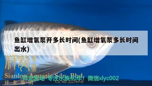 魚缸增氧泵開多長時間(魚缸增氧泵多長時間出水) 白條過背金龍魚