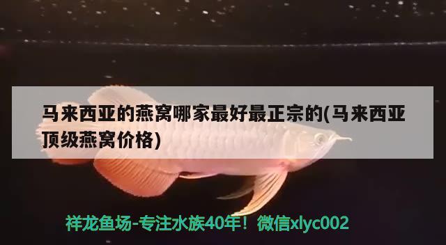 ?？隰~缸批發(fā)市場地址：海口魚缸批發(fā)市場地址：?？谑袌?，海口市?？谑卸珊Ｂ犯浇？隰~缸批發(fā)市場