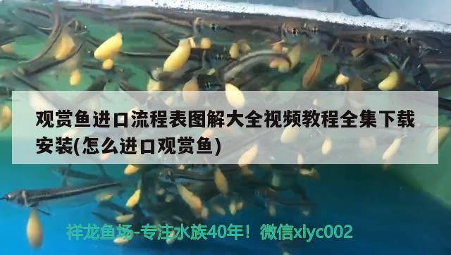 求懂風水的大師幫忙看一下魚缸放哪個位置好（來自貴陽花園小區(qū)），耗兒魚貴州叫什么