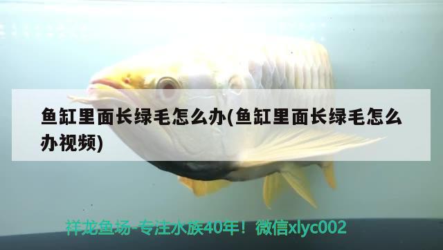 魚(yú)缸排水管件什么的好（魚(yú)缸排水管多粗合適）