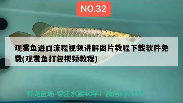 重慶魚缸批發(fā)市場(chǎng)在哪里進(jìn)貨（重慶活魚批發(fā)市場(chǎng)在哪里） 其他品牌魚缸 第1張