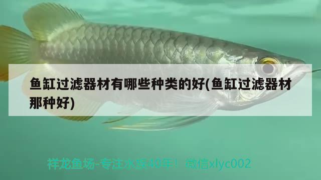 魚缸過濾器材有哪些種類的好(魚缸過濾器材那種好)