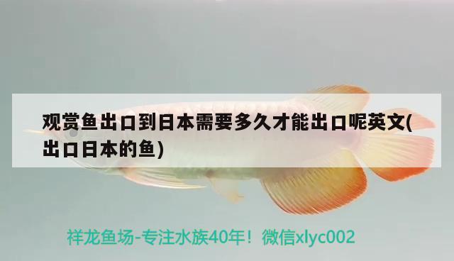 觀賞魚出口到日本需要多久才能出口呢英文(出口日本的魚)