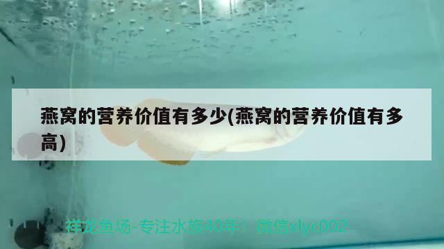 金魚曼龍魚混養(yǎng)，精選問答