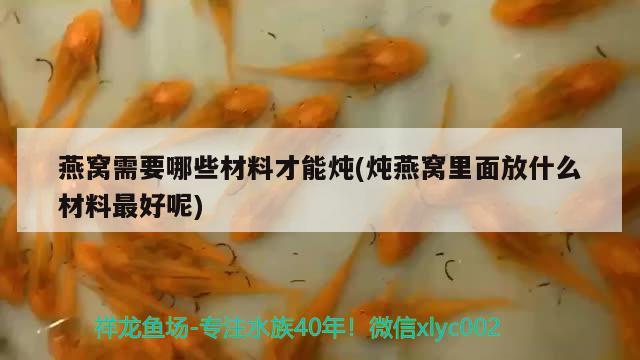 燕窩需要哪些材料才能燉(燉燕窩里面放什么材料最好呢) 馬來西亞燕窩