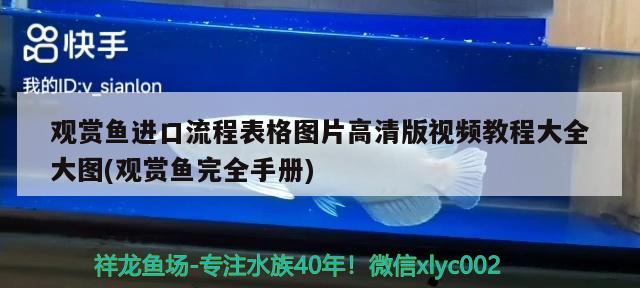 觀賞魚進口流程表格圖片高清版視頻教程大全大圖(觀賞魚完全手冊) 觀賞魚進出口