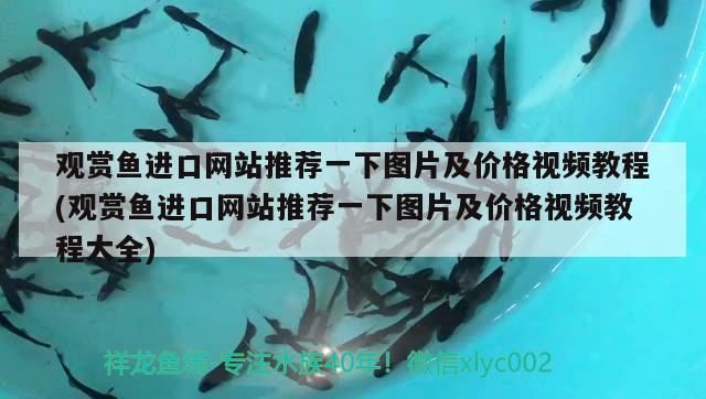 殺菌海鹽可以直接加到魚缸里嗎(魚缸加鹽能殺菌嗎) 龍魚專用燈