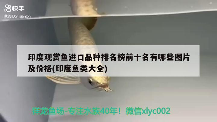 印度觀賞魚進口品種排名榜前十名有哪些圖片及價格(印度魚類大全) 觀賞魚進出口