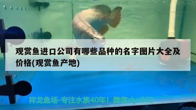 1.2米魚缸養(yǎng)水幾天（1.2米魚缸養(yǎng)水幾天換一次水） 魚缸百科 第1張