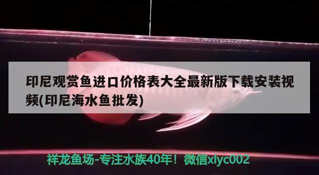 錦州觀賞魚市場地址在哪兒，，錦州觀賞魚市場地址在哪兒