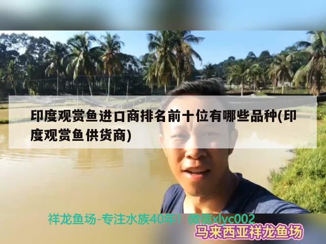 印尼龍魚進口價格走勢圖分析最新版視頻大全圖片(印尼紅龍魚價格) 紅龍魚百科