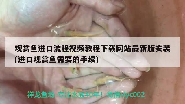 觀賞魚進(jìn)口流程視頻教程下載網(wǎng)站最新版安裝(進(jìn)口觀賞魚需要的手續(xù))