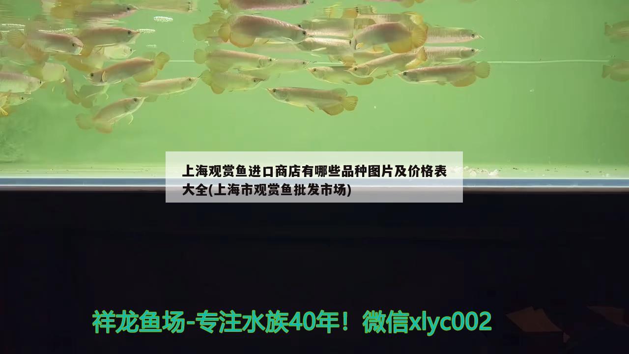 網(wǎng)上賣觀賞魚的網(wǎng)站叫什么名字：附近有二手魚缸出售嗎