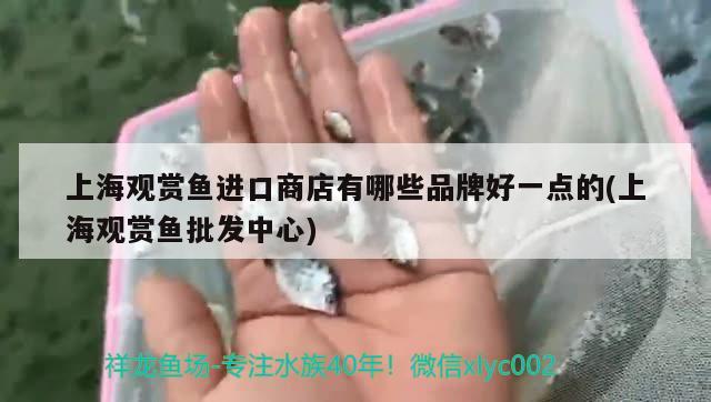 百色哪里有魚缸賣的啊電話（?？谀睦镉匈u魚缸的）