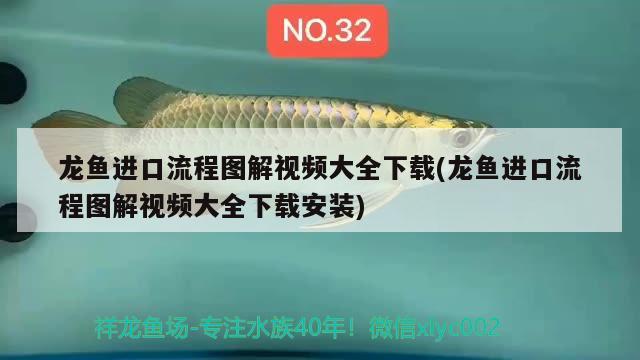 風水魚魚缸的尺寸(魚缸尺寸最好最吉利圖紙) 廣州水族批發(fā)市場