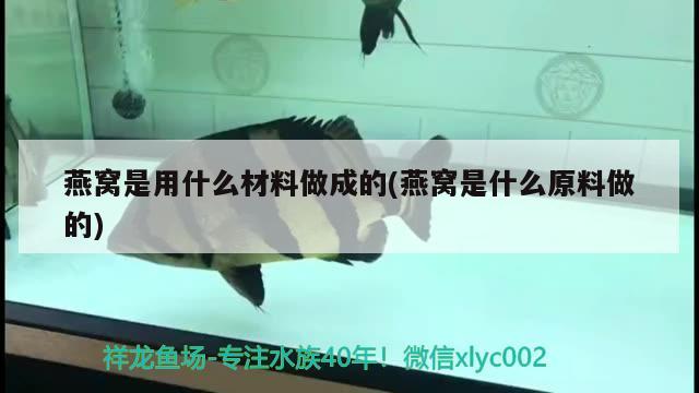 燕窩是用什么材料做成的(燕窩是什么原料做的) 馬來西亞燕窩