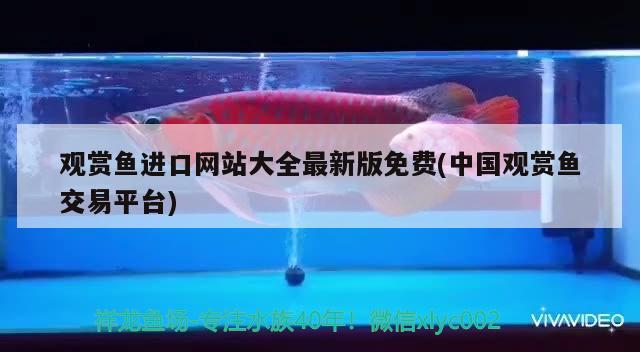 觀賞魚(yú)進(jìn)口網(wǎng)站大全最新版免費(fèi)(中國(guó)觀賞魚(yú)交易平臺(tái)) 觀賞魚(yú)進(jìn)出口