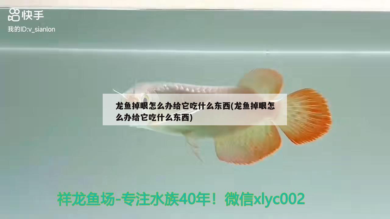 煙火牌超白魚缸和煙火超白魚缸哪個是正規(guī)的對應信息，煙火牌超白魚缸和煙火超白缸哪個是正規(guī)的對應信息 元寶鳳凰魚專用魚糧 第2張