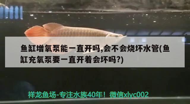 魚(yú)缸增氧泵能一直開(kāi)嗎,會(huì)不會(huì)燒壞水管(魚(yú)缸充氧泵要一直開(kāi)著會(huì)壞嗎?)