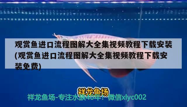 觀賞魚進口流程圖解大全集視頻教程下載安裝(觀賞魚進口流程圖解大全集視頻教程下載安裝免費) 觀賞魚進出口