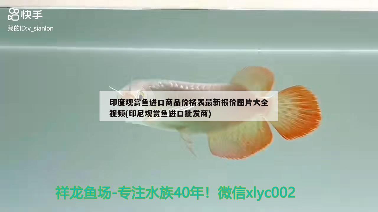 印度觀賞魚進口商品價格表最新報價圖片大全視頻(印尼觀賞魚進口批發(fā)商) 觀賞魚進出口