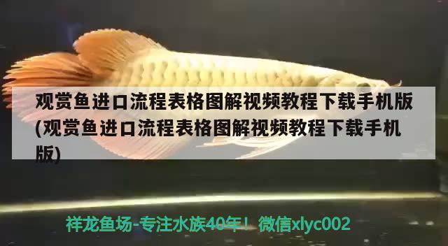 魚缸清潔劑怎么用，魚缸加熱棒水垢清潔小妙招 養(yǎng)魚的好處 第3張