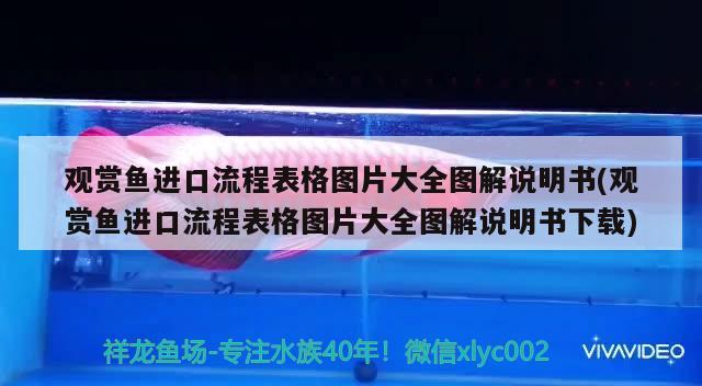 觀賞魚進口流程表格圖片大全圖解說明書(觀賞魚進口流程表格圖片大全圖解說明書下載)