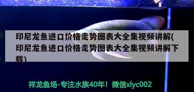 通州區(qū)平潮永新漁具店 全國(guó)水族館企業(yè)名錄 第2張