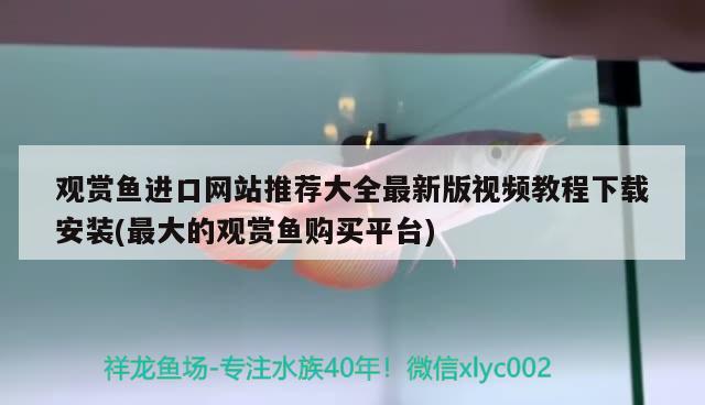 觀賞魚進(jìn)口網(wǎng)站推薦大全最新版視頻教程下載安裝(最大的觀賞魚購(gòu)買平臺(tái)) 觀賞魚進(jìn)出口