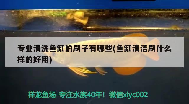 專業(yè)清洗魚缸的刷子有哪些(魚缸清潔刷什么樣的好用) 水族維護服務(wù)（上門）