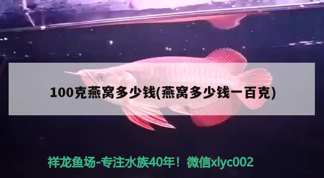 最貴的龍魚排名，金龍魚有幾個品種，每個品種都是什么價