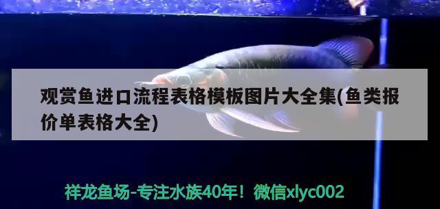 pccy是什么牌手機，養(yǎng)魚高手請賜教！我的黑云魚請回來半個多月了，可是除了吃食游上來，平時基本都不游動，總沉在缸底下不動