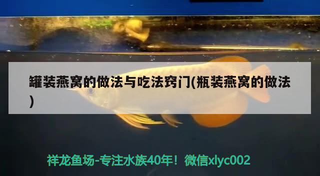 閩江龍魚缸怎么樣（閩江魚缸質(zhì)量怎么樣） 龍魚百科