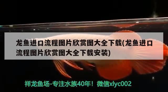 魚缸柜制作過程視頻大全（自己怎么做魚缸柜視頻） 三色錦鯉魚 第2張