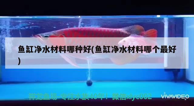 牡丹江水族批發(fā)市場(chǎng)都在哪里？（牡丹江水產(chǎn)魚類批發(fā)） 龍魚芯片掃碼器