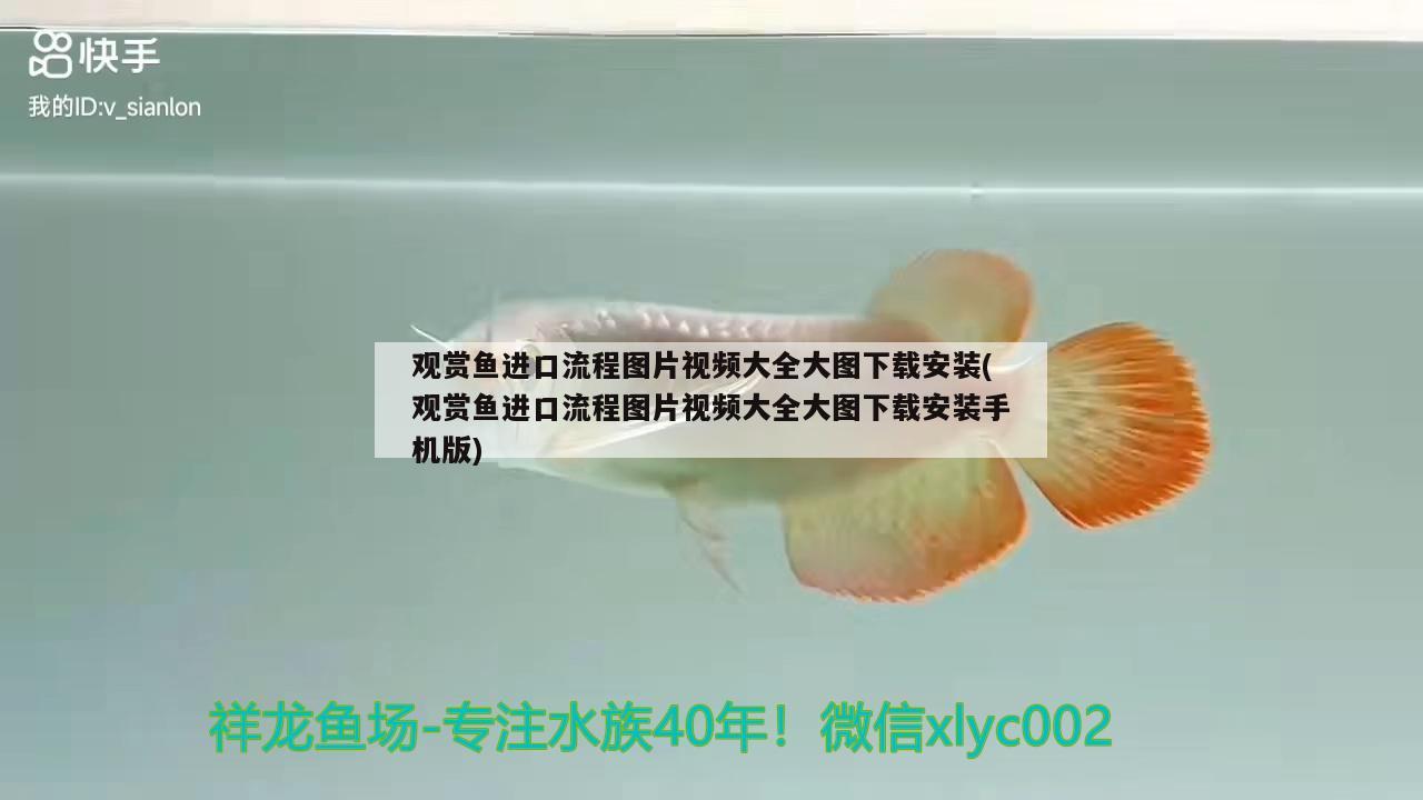 魚缸綠斑藻清除方法（魚缸綠斑藻清除方法圖解） 其他品牌魚缸 第3張