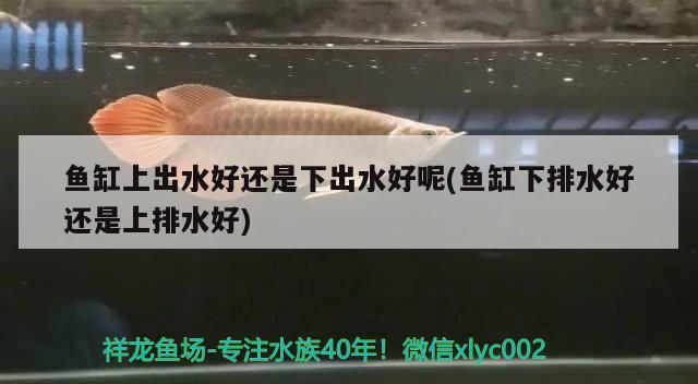 國內(nèi)知名超白魚缸品牌：國內(nèi)最好的超白缸品牌 水族維護(hù)服務(wù)（上門） 第3張