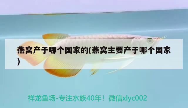 鹽城魚缸回收公司地址在哪里呀(鹽城魚缸店)