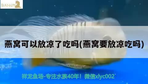 紅龍魚燈光位置擺放圖片大全（紅龍魚魚燈怎么擺放） 水族燈（魚缸燈）