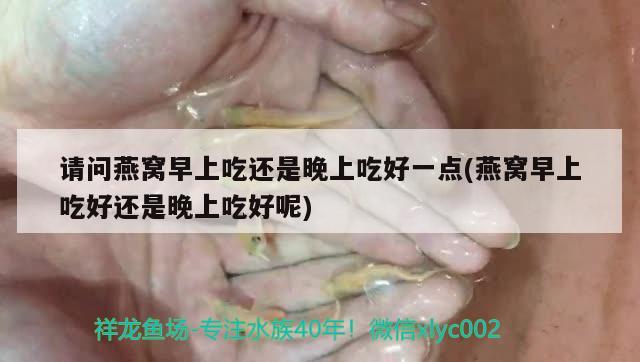 魚缸包郵費(fèi)用的計(jì)算方法，魚缸包郵費(fèi)用怎么算魚缸包郵費(fèi)用怎么算魚缸包郵費(fèi)用的計(jì)算方法 泰龐海鰱魚 第1張