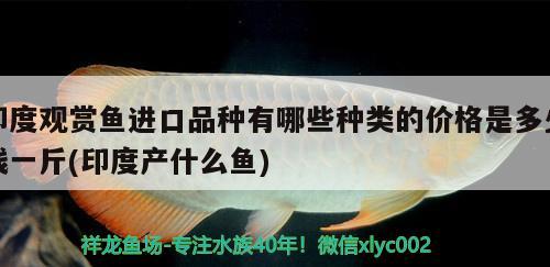 印度觀賞魚進(jìn)口品種有哪些種類的價格是多少錢一斤(印度產(chǎn)什么魚) 觀賞魚進(jìn)出口