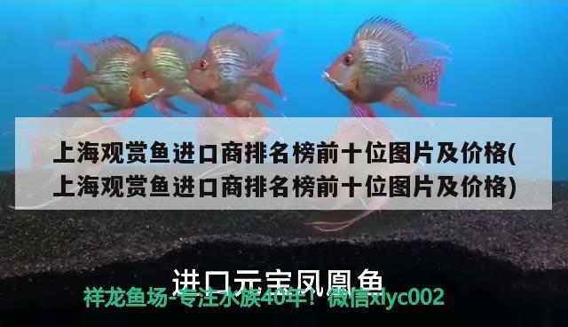 上海觀賞魚進(jìn)口商排名榜前十位圖片及價(jià)格(上海觀賞魚進(jìn)口商排名榜前十位圖片及價(jià)格) 觀賞魚進(jìn)出口