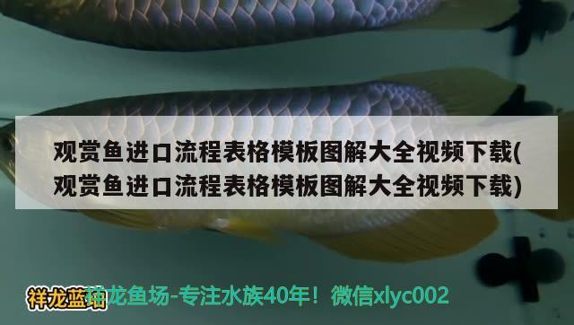 觀賞魚進(jìn)口流程表格模板圖解大全視頻下載(觀賞魚進(jìn)口流程表格模板圖解大全視頻下載) 觀賞魚進(jìn)出口