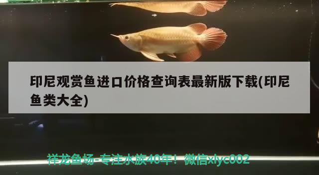 魚缸波紋管耐用嗎（森森魚缸怎么安裝） 豹紋夫魚苗 第2張