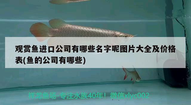 隨州觀賞魚批發(fā)市場地址電話：隨州附近哪里有水庫魚批發(fā)