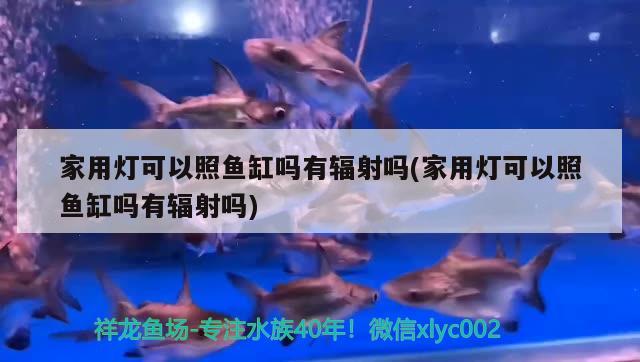 家用燈可以照魚缸嗎有輻射嗎(家用燈可以照魚缸嗎有輻射嗎)